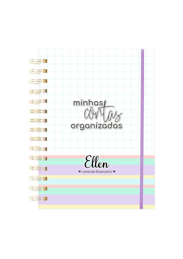 Planner Financeiro 06