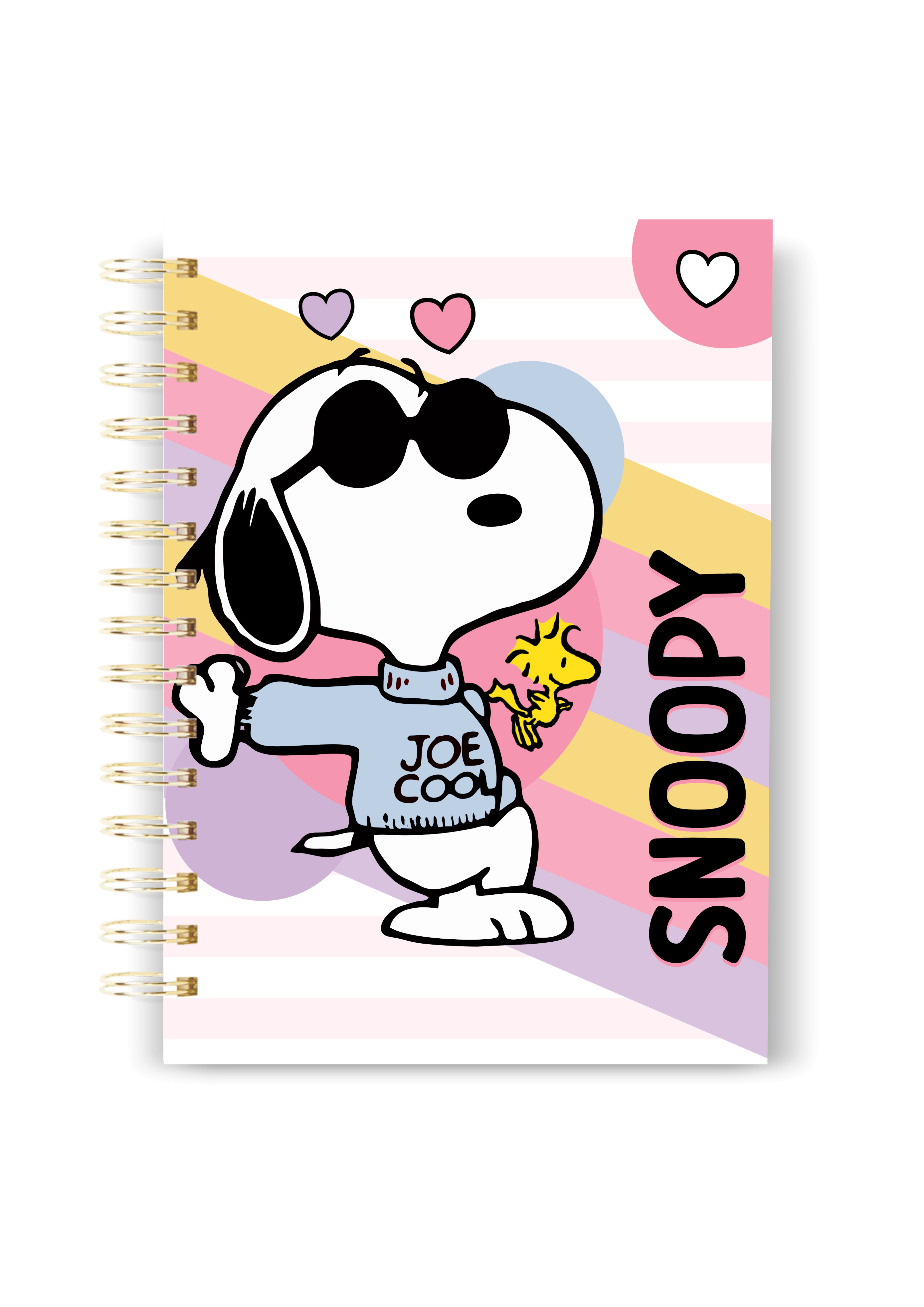Agenda Escolar 111