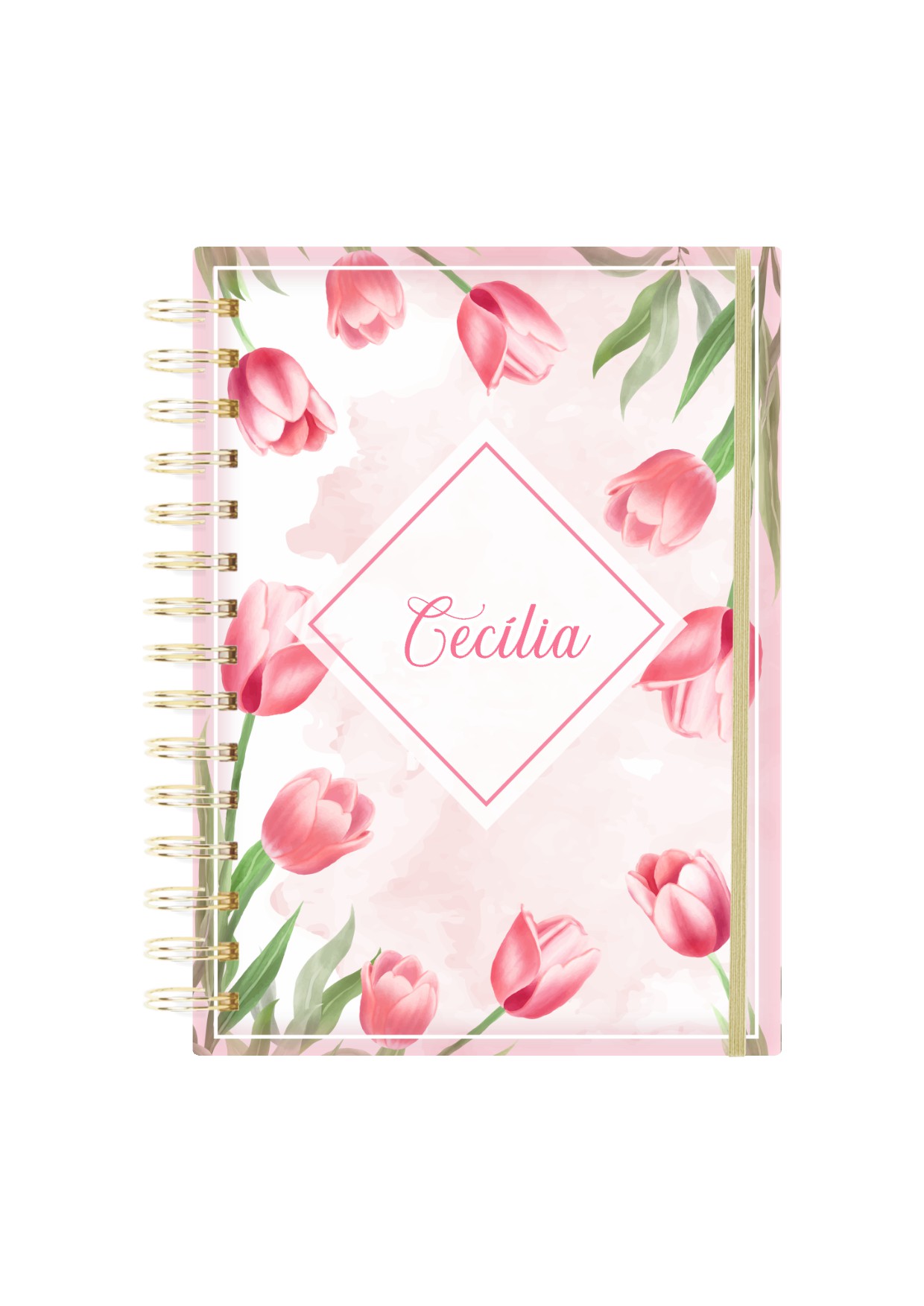 Agenda Escolar 47