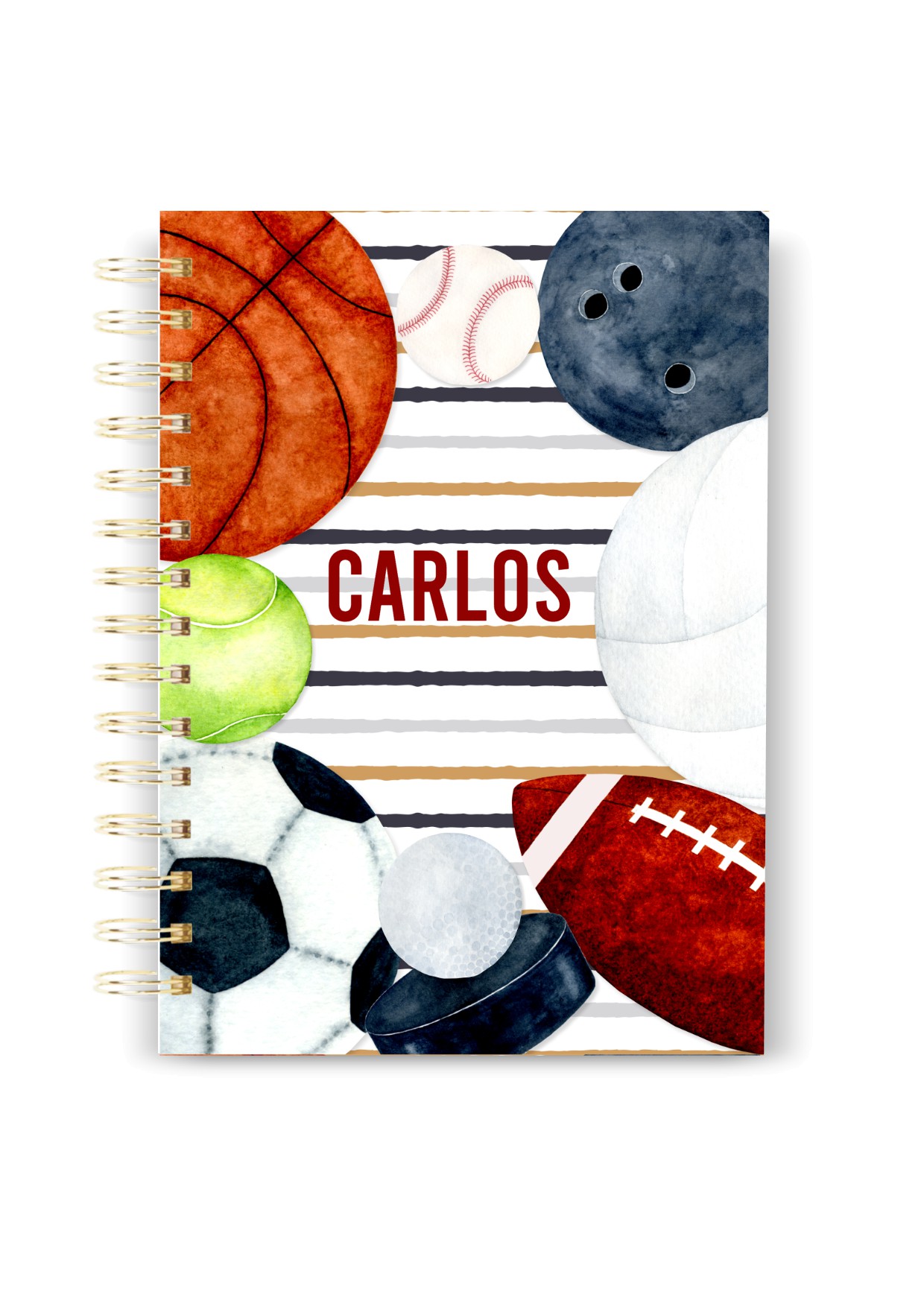 Agenda Escolar 93