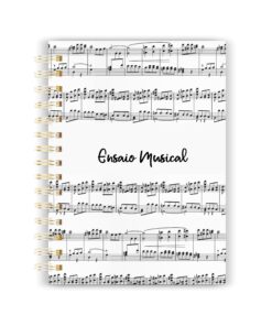 Agenda de ensaio local e do GEM 01