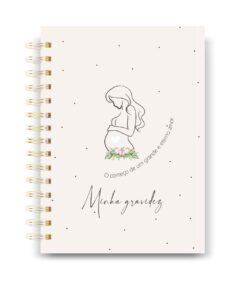 Caderneta de Gestante 12