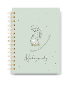 Caderneta de Gestante 13