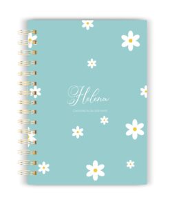 Caderneta de Gestante 17