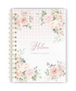 Caderneta de Gestante 22