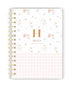 Caderneta de Gestante 27