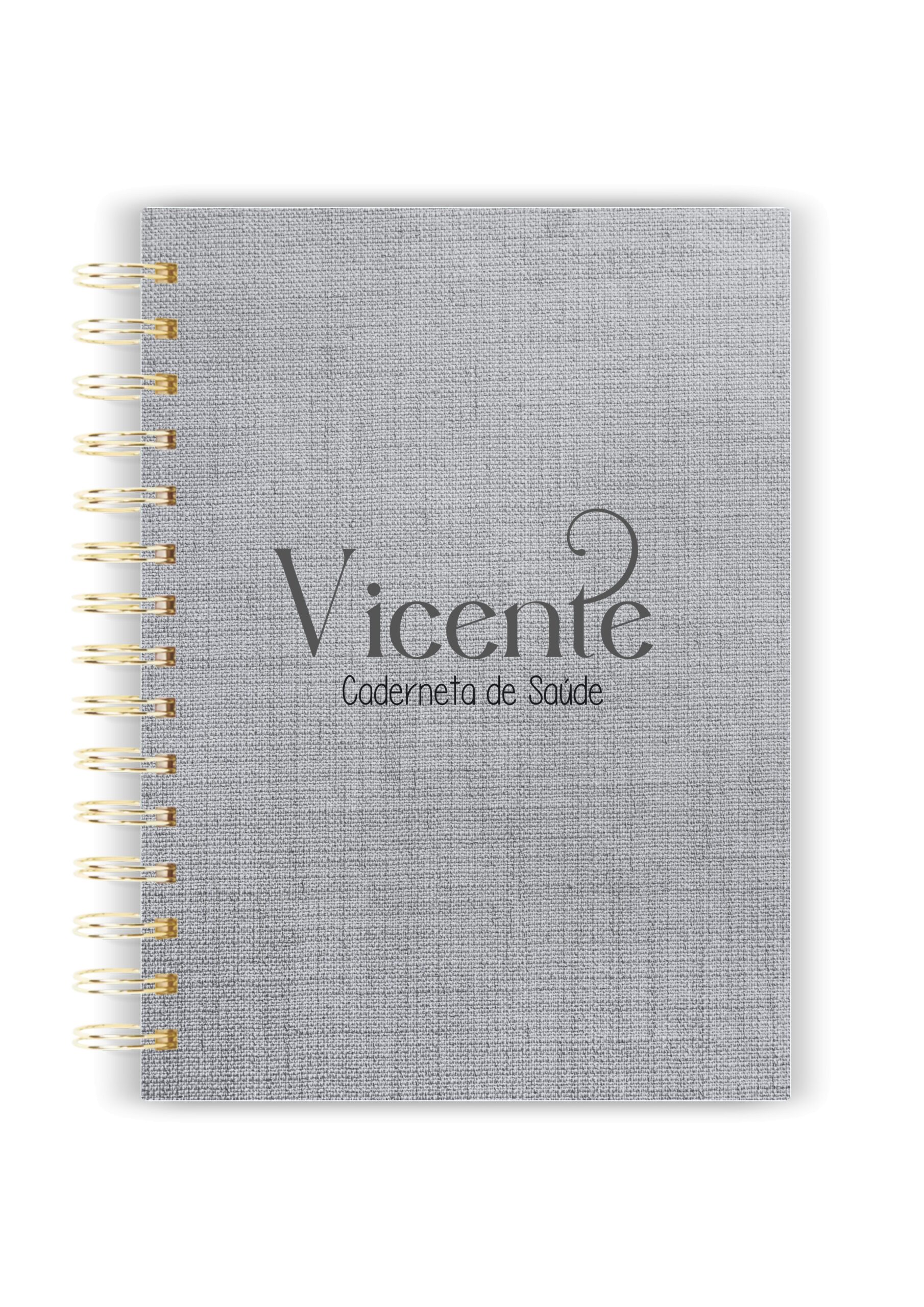 Caderneta de Saúde Menino 195