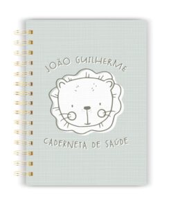 Caderneta de Saúde Menino 209