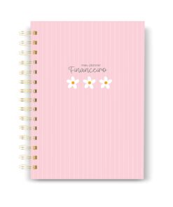 Planner Financeiro 67