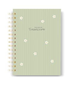 Planner Financeiro 71